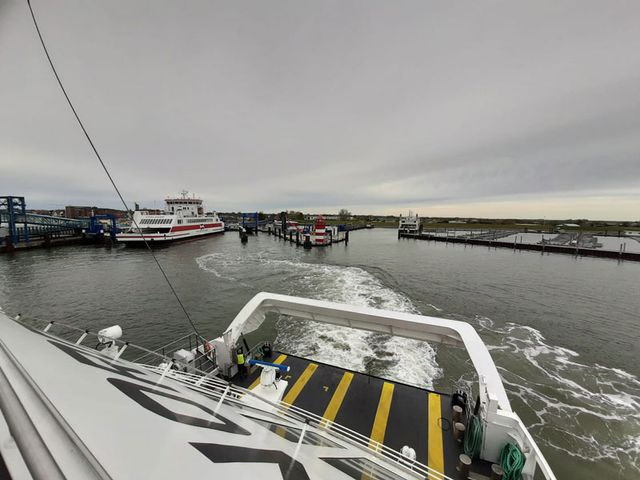 Die Schädlingsbekämpfer Lauch & Jahn GbR