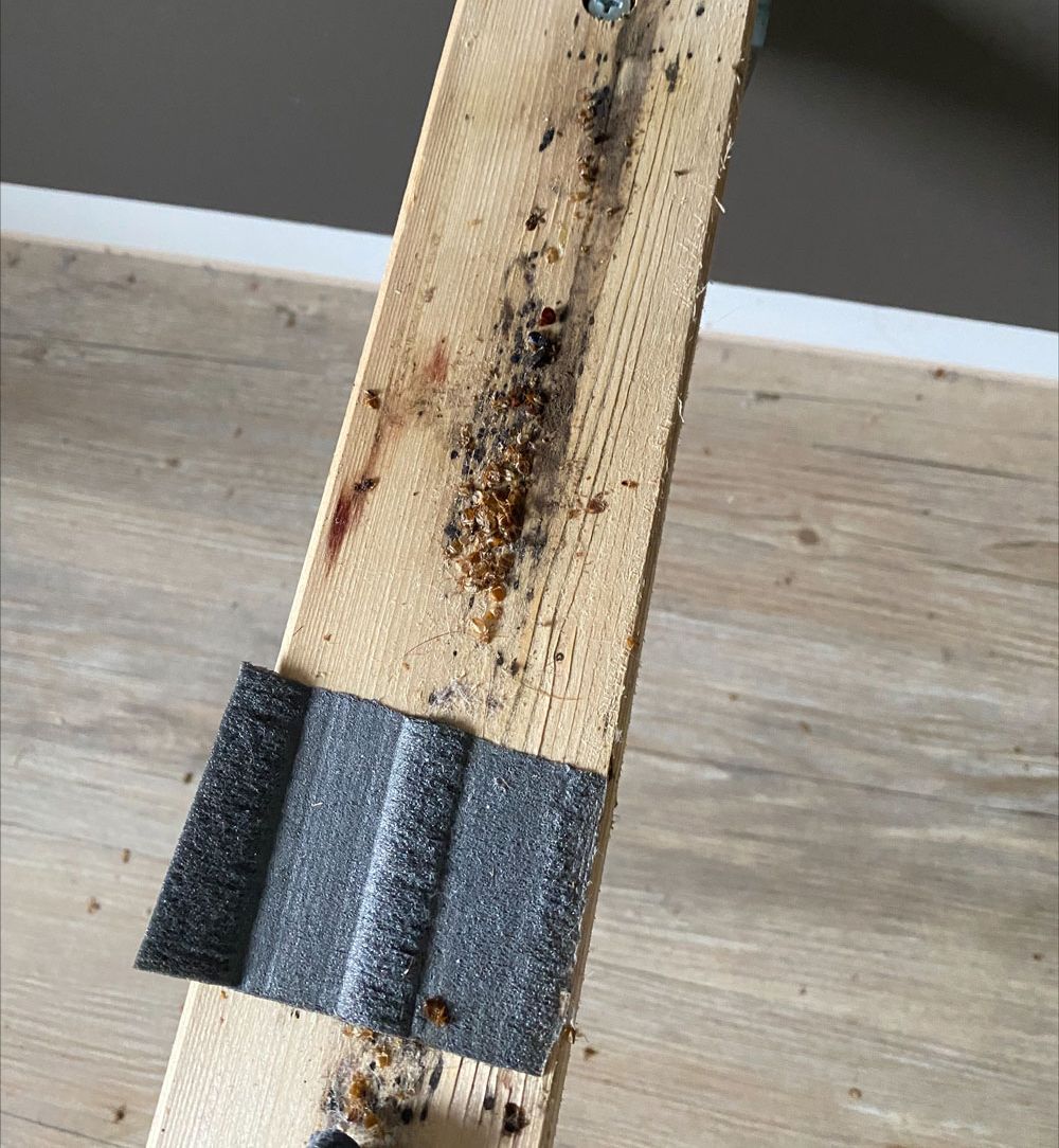 Holwurmbekämpfung Husum: von Holzwürmern befallenes Holz